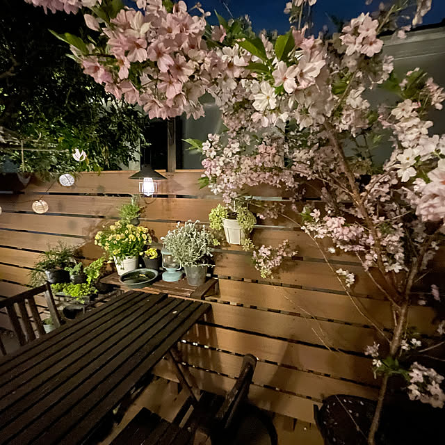 kotoriccoさんの部屋