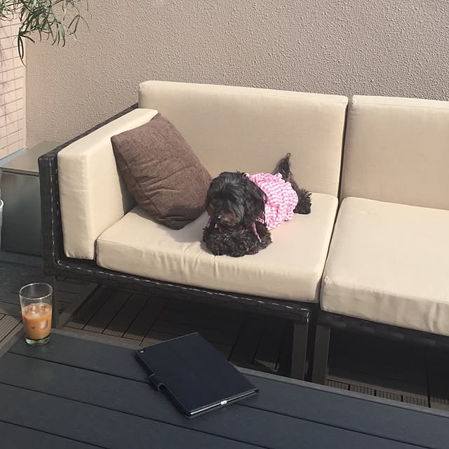 kazukuroさんの実例写真