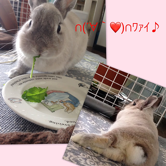 yokomokoさんの実例写真