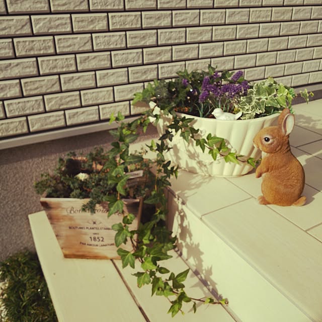 saradaさんの実例写真