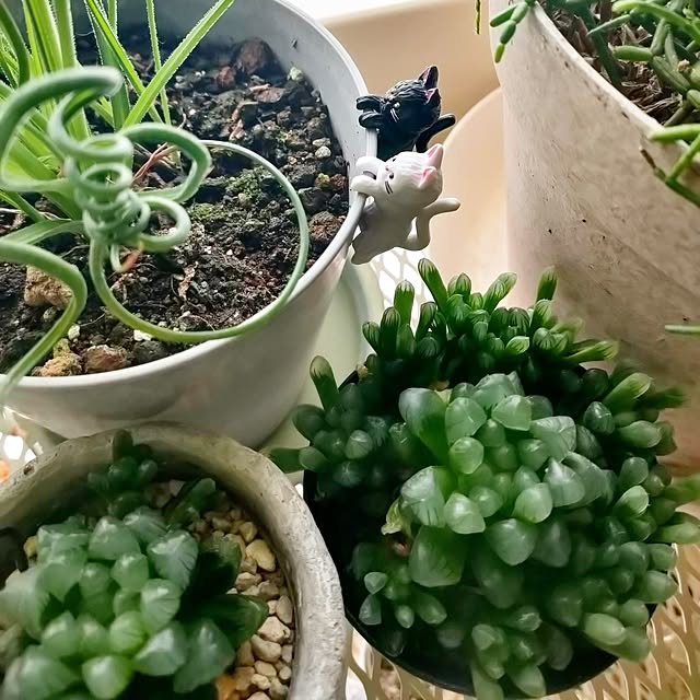 teamoさんの部屋