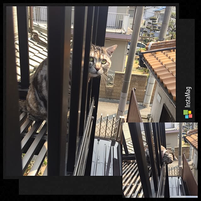 haruさんの実例写真