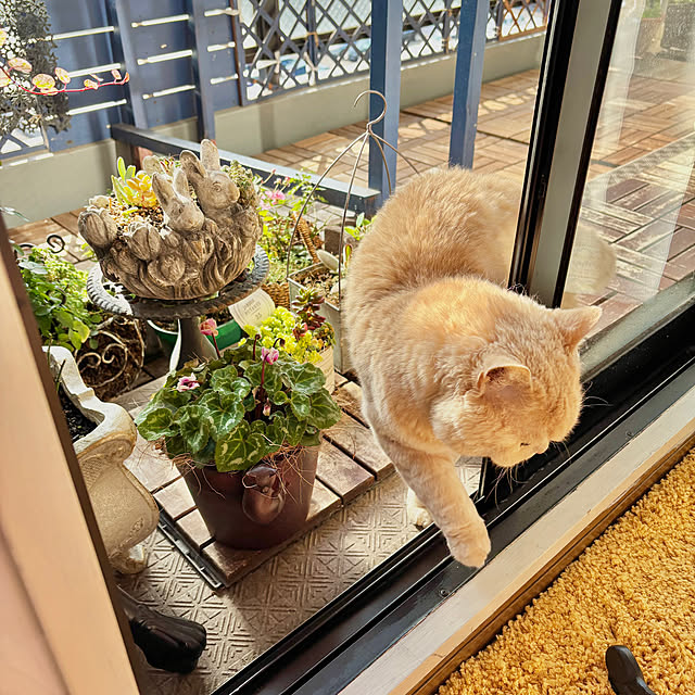 naokoさんの部屋