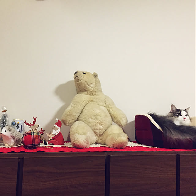 mofさんの実例写真
