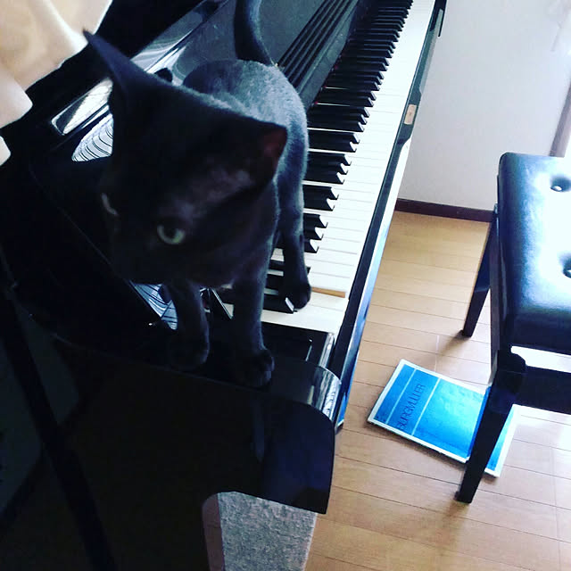 shion825さんの実例写真