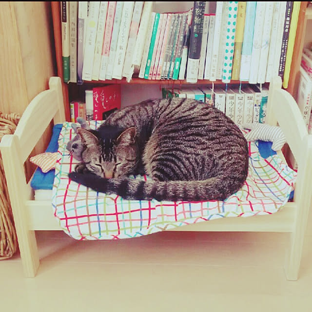 sleepywhaleさんの実例写真
