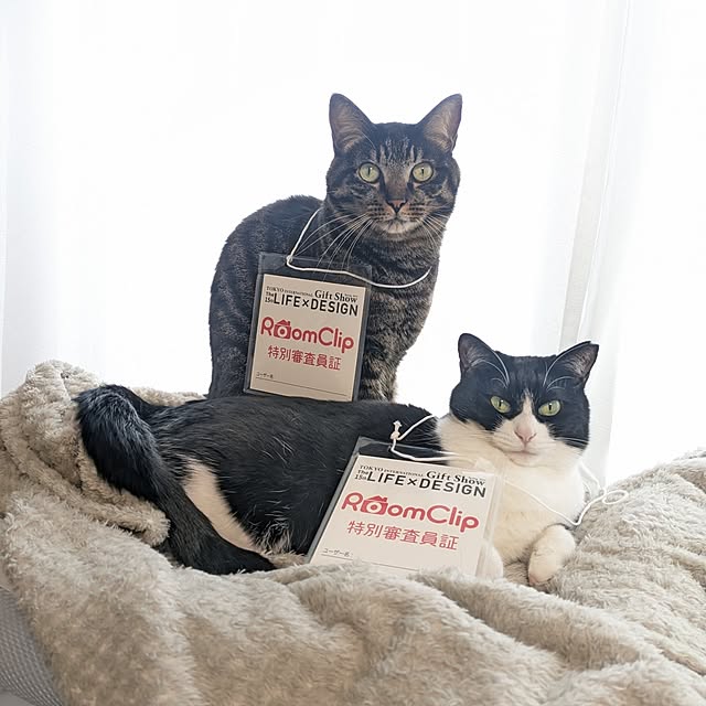 hihaさんの実例写真