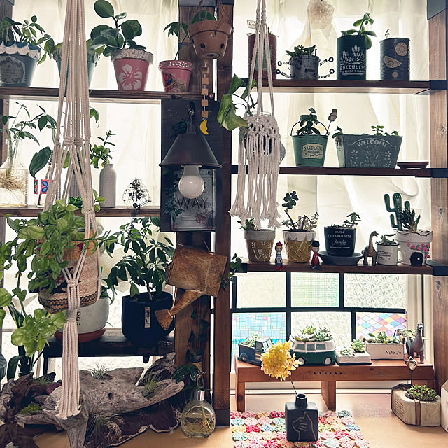 Fumiさんの部屋