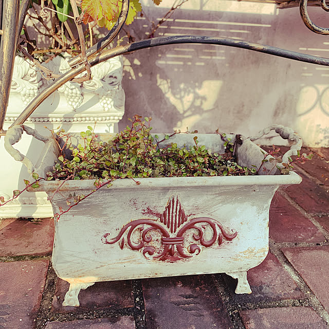 AYUKOさんの実例写真