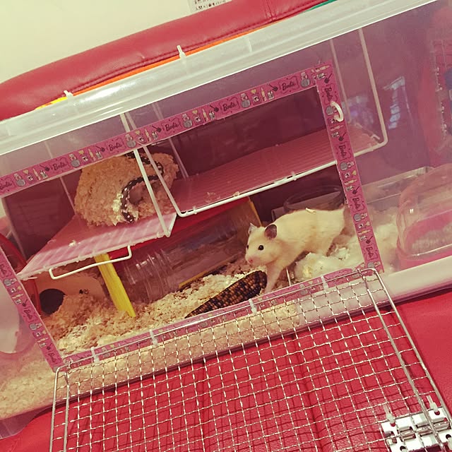 sk1202hk23さんの実例写真