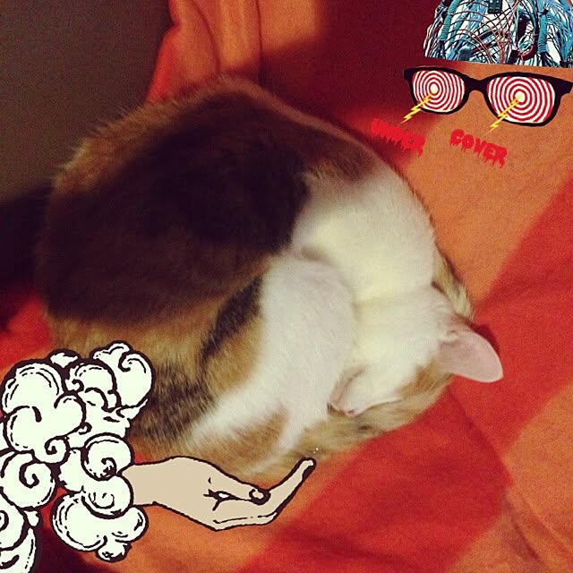 ziziguguさんの実例写真