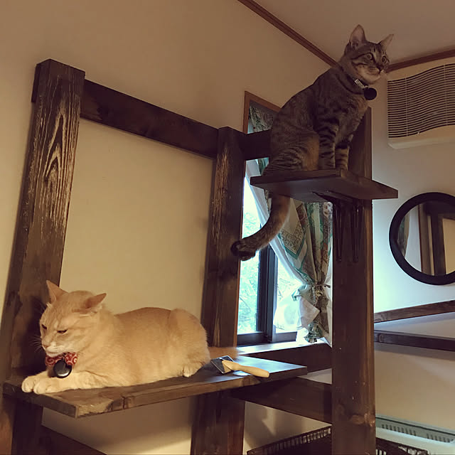mikan161さんの実例写真