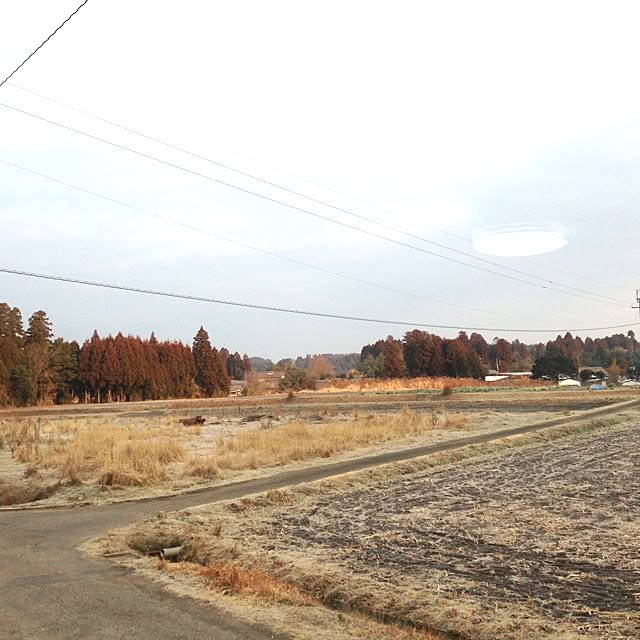 Emiさんの実例写真