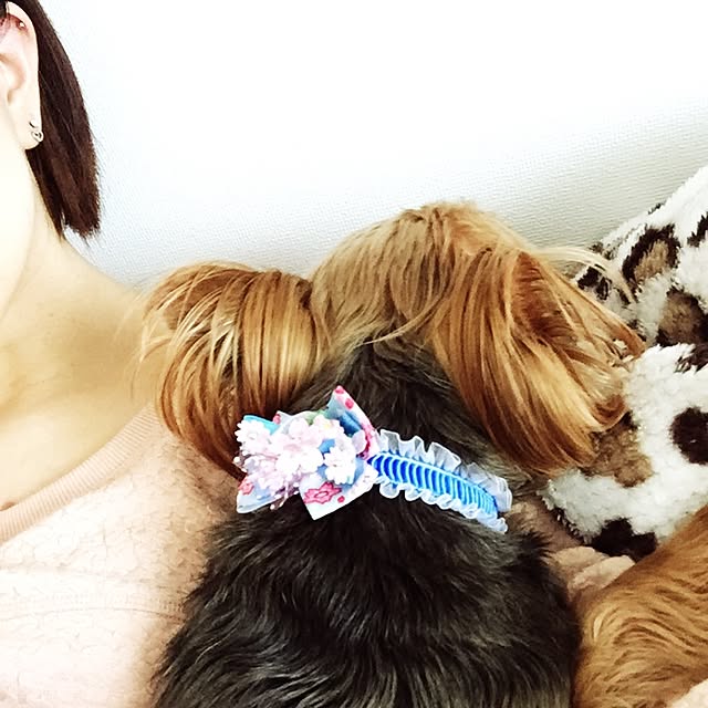 miyuさんの実例写真
