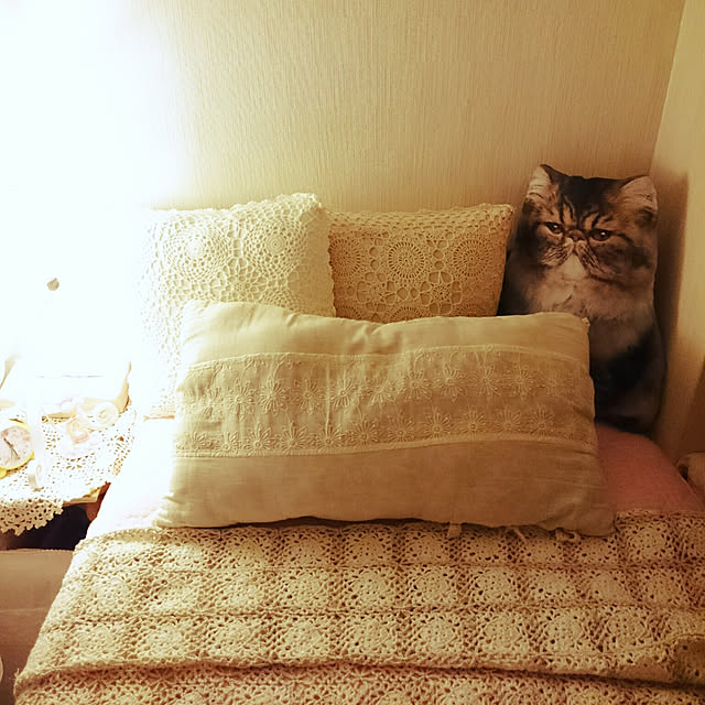 anneさんの実例写真