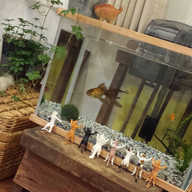 masax_xさんの実例写真
