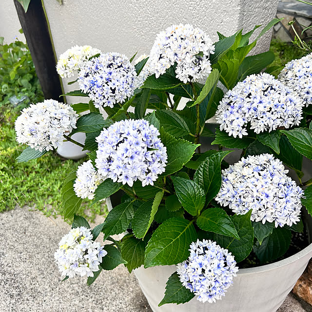 kさんの部屋