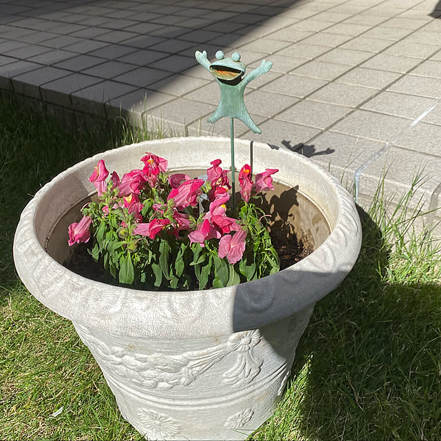 YuuKoさんの実例写真