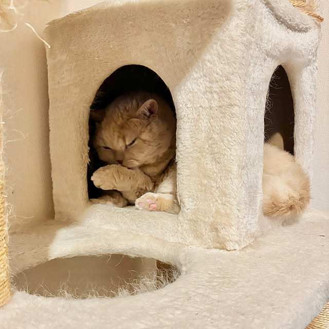 naokoさんの部屋