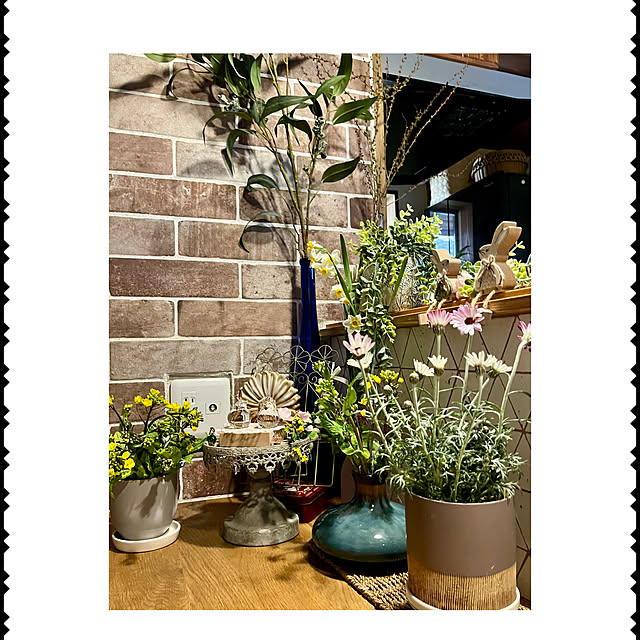 cotaさんの部屋