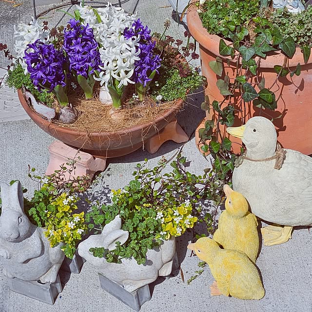 mocomocoさんの実例写真