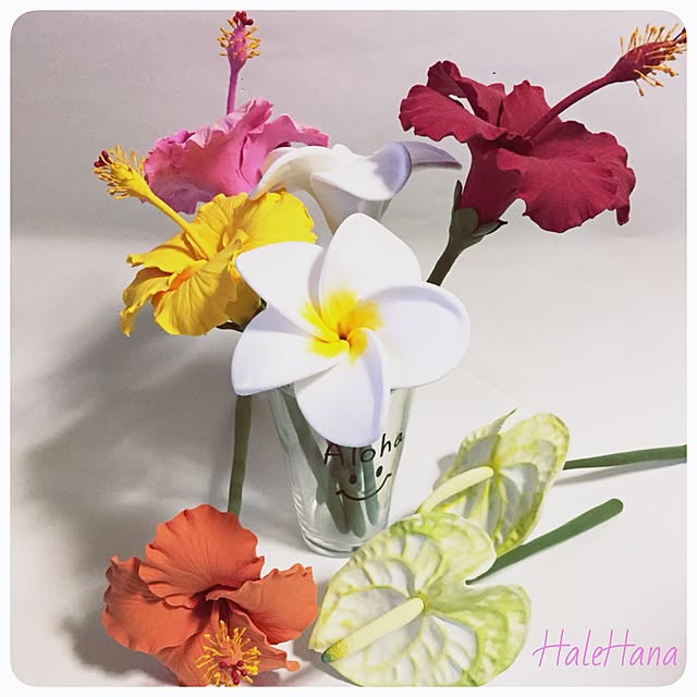 HaleHanaさんの実例写真