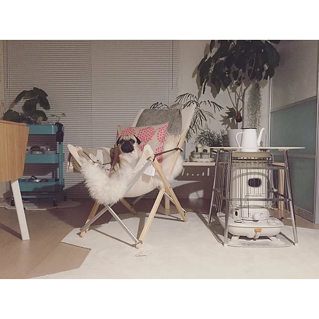 YUIさんの実例写真
