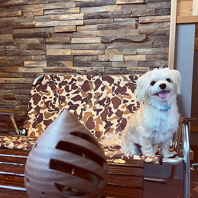 seiさんの部屋