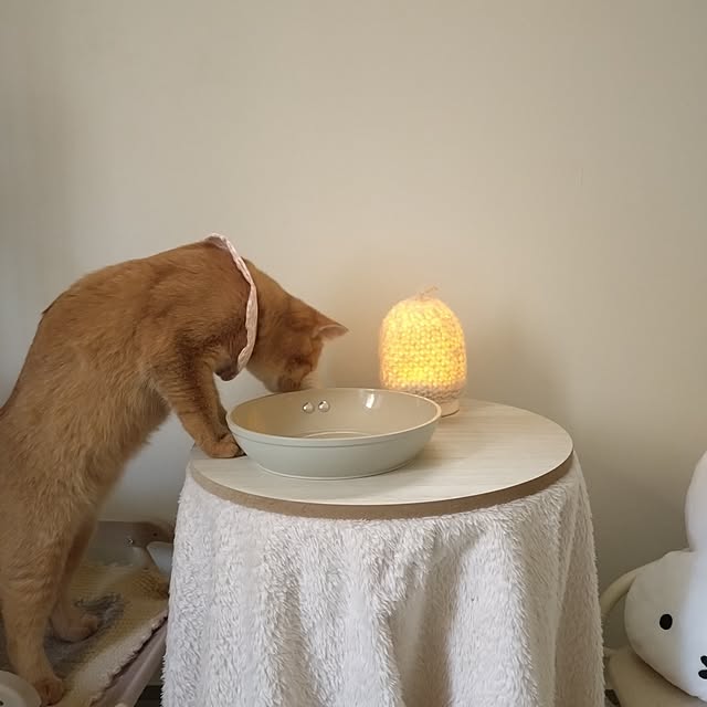 mayutan.さんの部屋