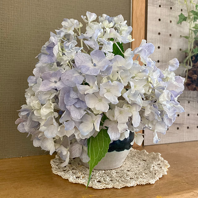 chachamamaさんの部屋