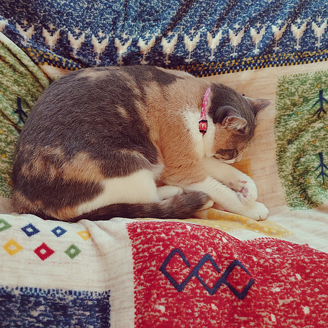 fukuさんの実例写真