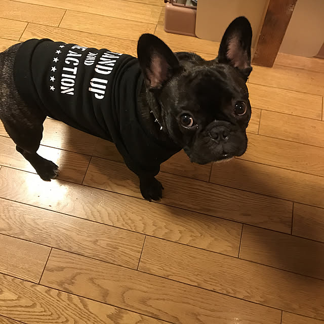 1000gaさんの実例写真
