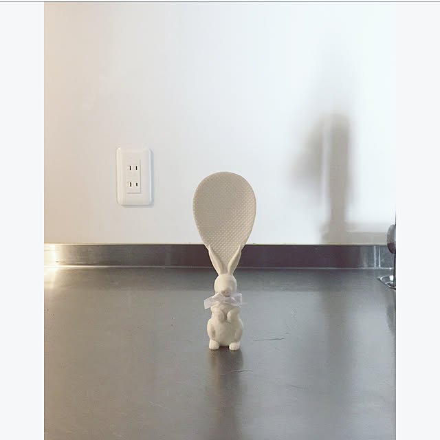 rikorikoさんの実例写真