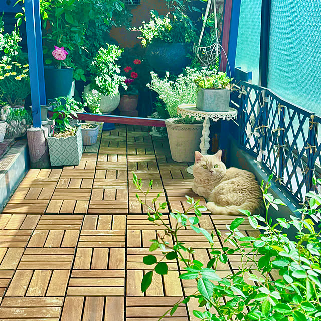 naokoさんの実例写真