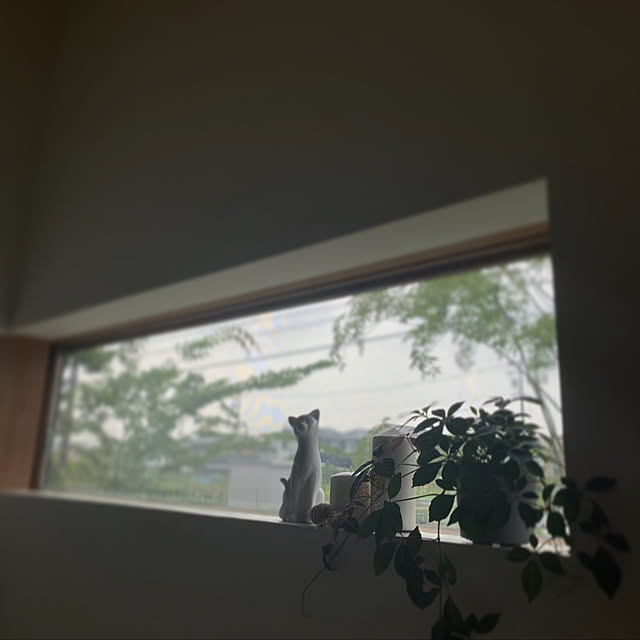 ___izさんの実例写真