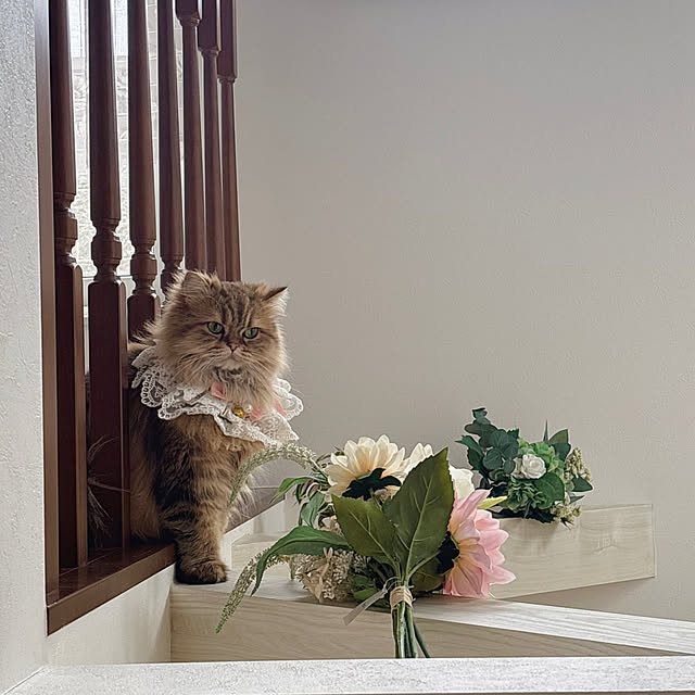 miyu39さんのお部屋の写真