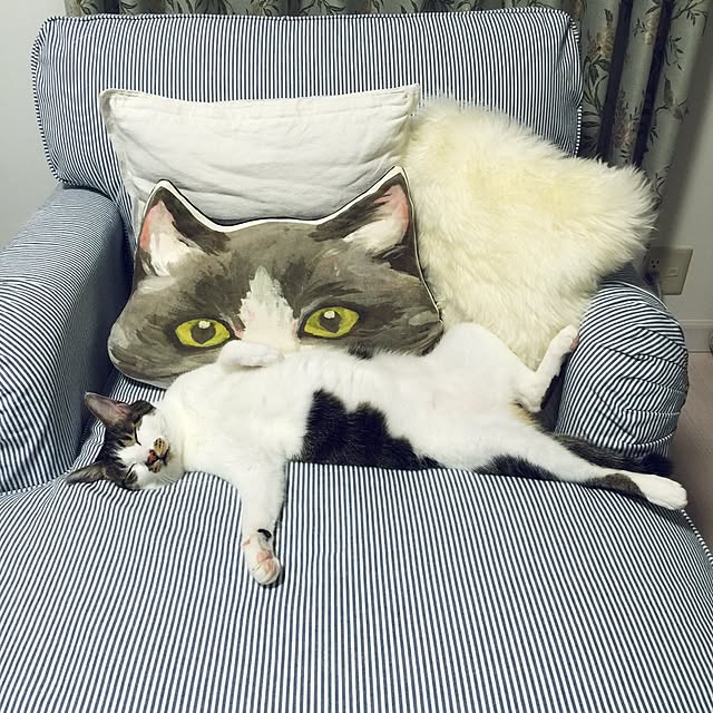 yuchiさんの実例写真
