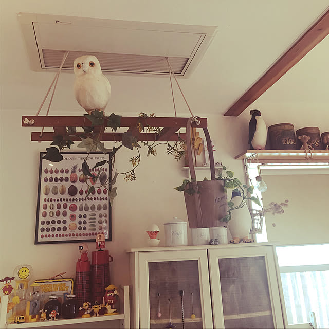 COCOさんの実例写真
