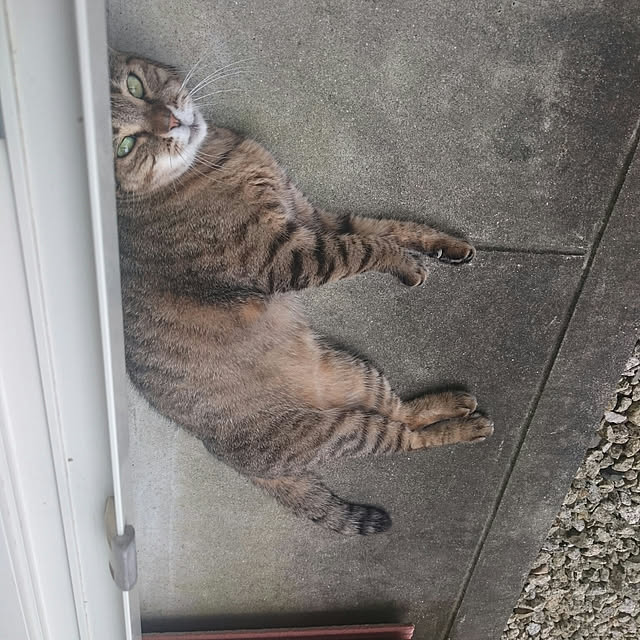 lilyさんの実例写真