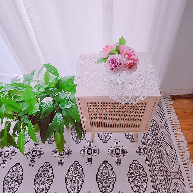 surviveさんの部屋