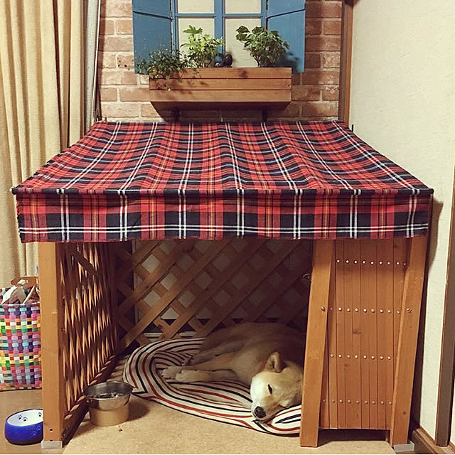 hiroさんの実例写真