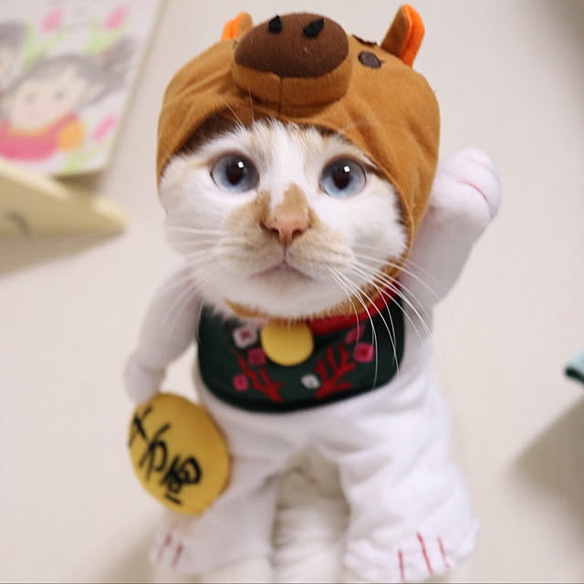 chiiさんの実例写真