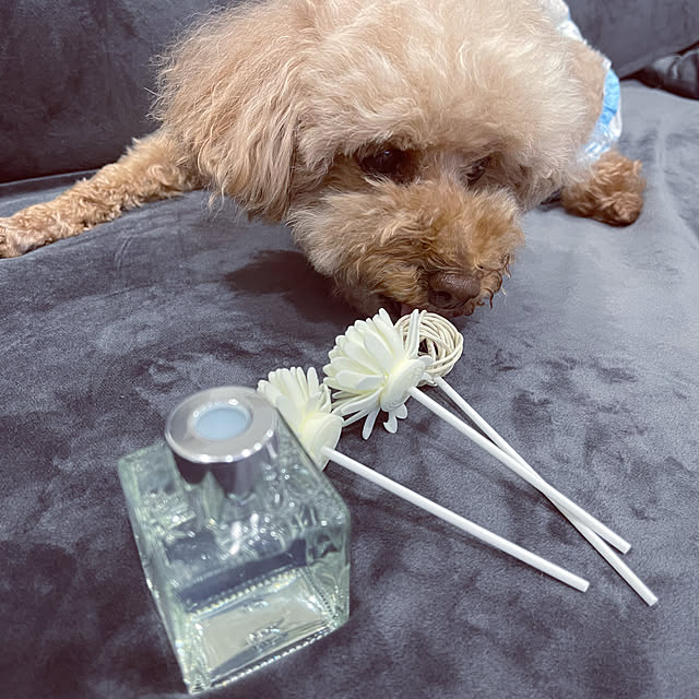 chikaさんの部屋