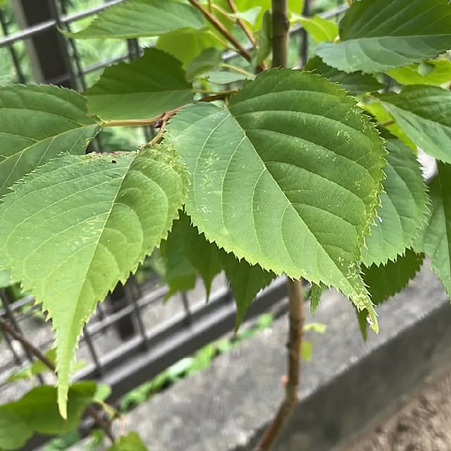 honey25さんの部屋
