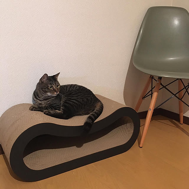 anさんの実例写真