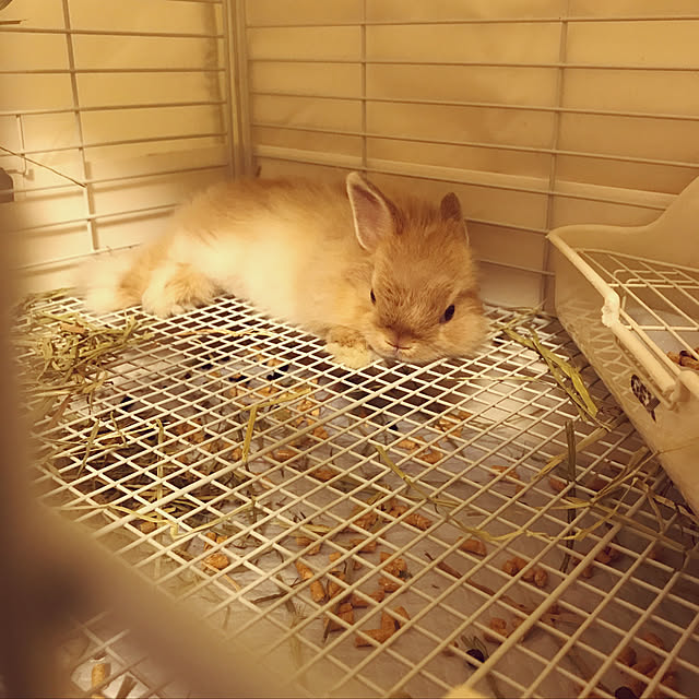 mさんの実例写真