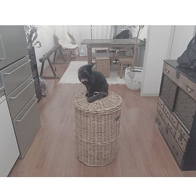 SHIOKONBUさんの実例写真