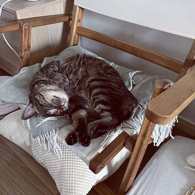 masamasaさんの実例写真