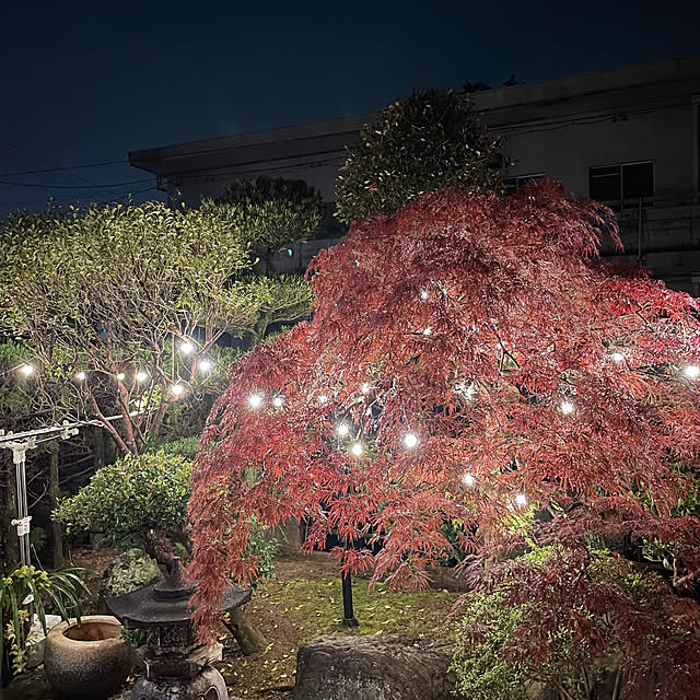 shin0719さんの実例写真