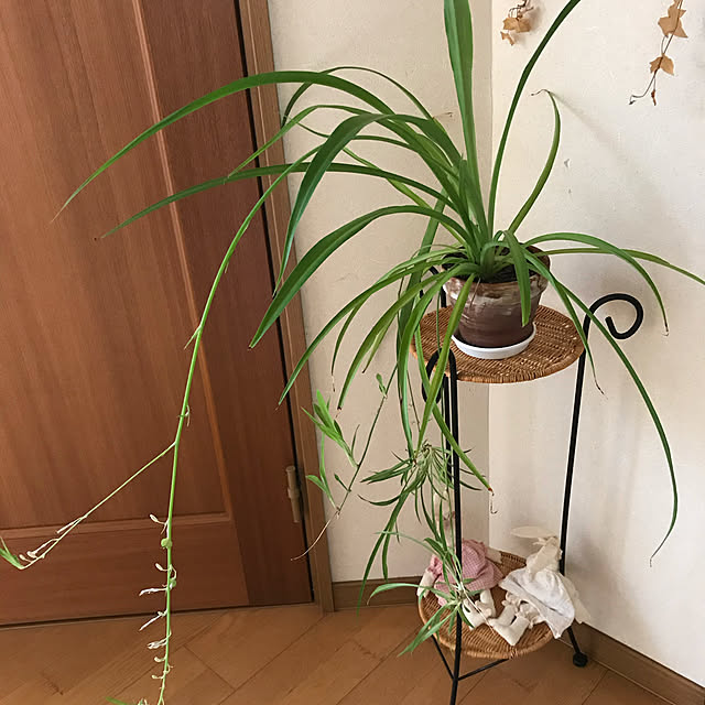 l-gardenさんの実例写真